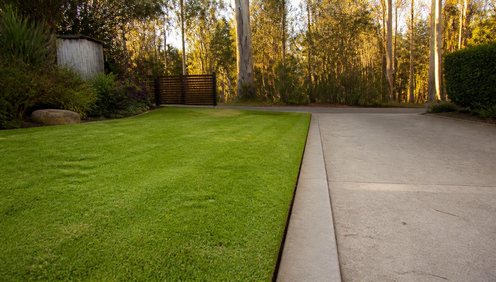 A freshly mown lawn with a clean edge along a concrete driveway, with gum trees behind
